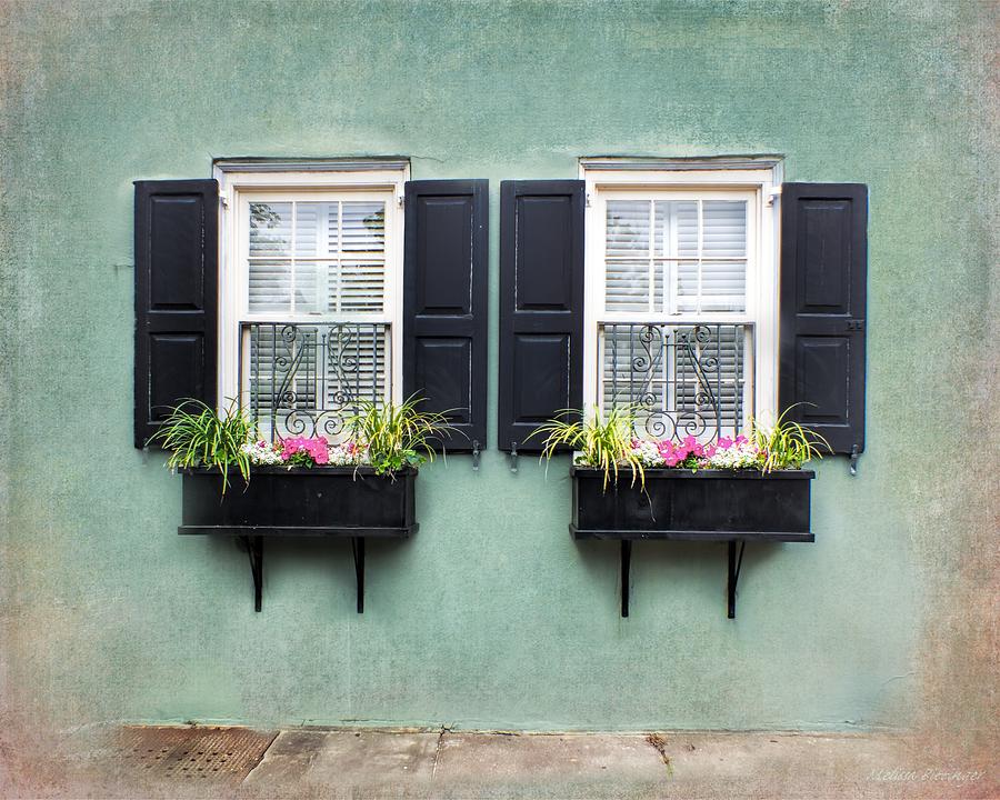 Charleston Window Boxes Teal Photograph by Melissa Bittinger