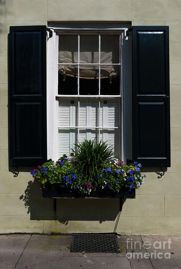 Charleston Window Display Photograph by Dale Powell