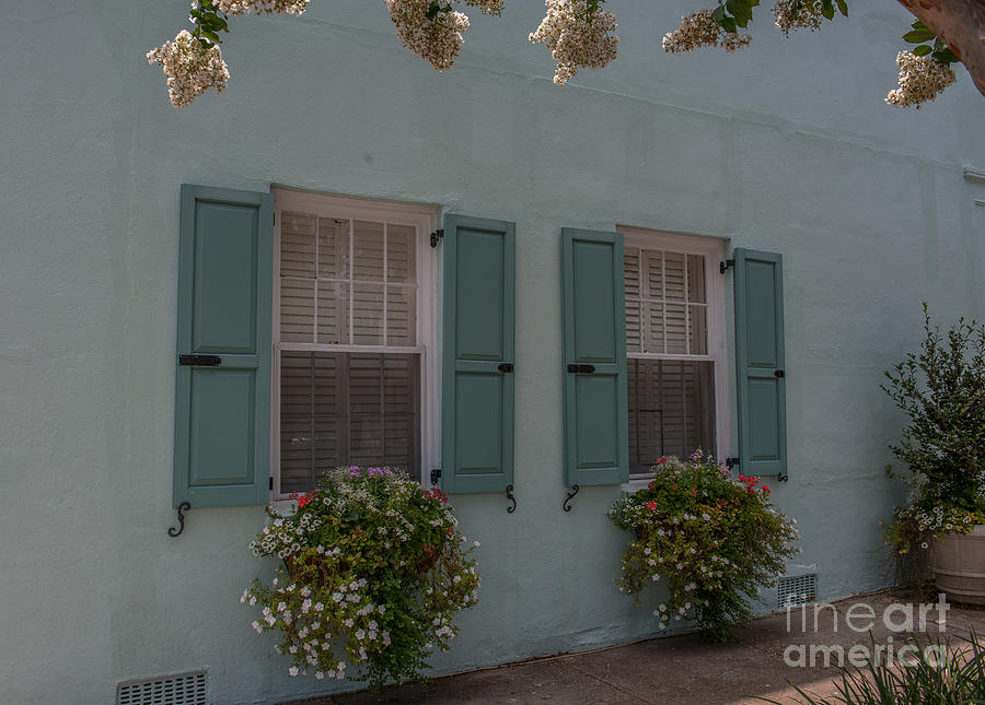 Charleston Window Flower Box Photograph by Dale Powell