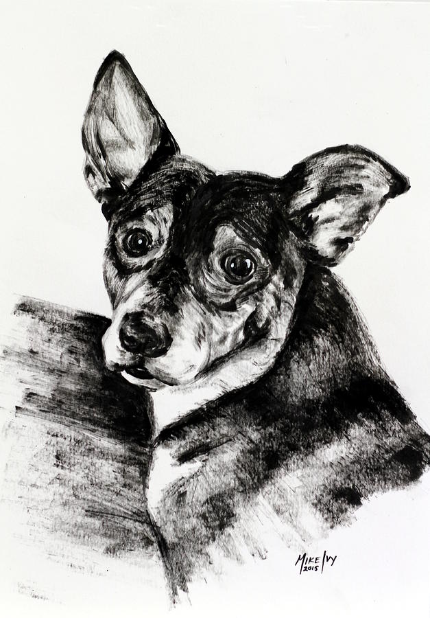 Charlie Bucket Drawing by Michael Ivy - Fine Art America