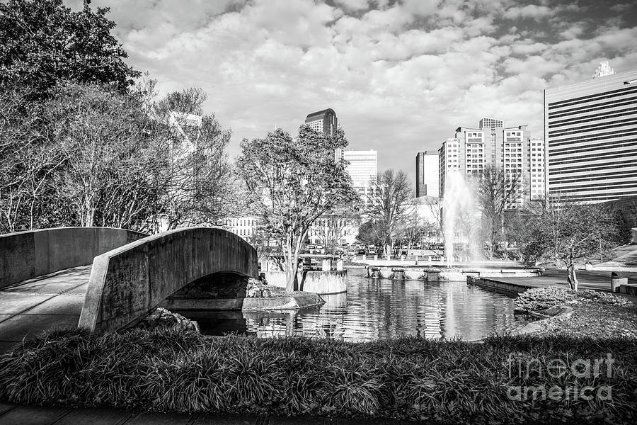 Charlotte Marshall Park Black and White Photo Photograph by Paul Velgos