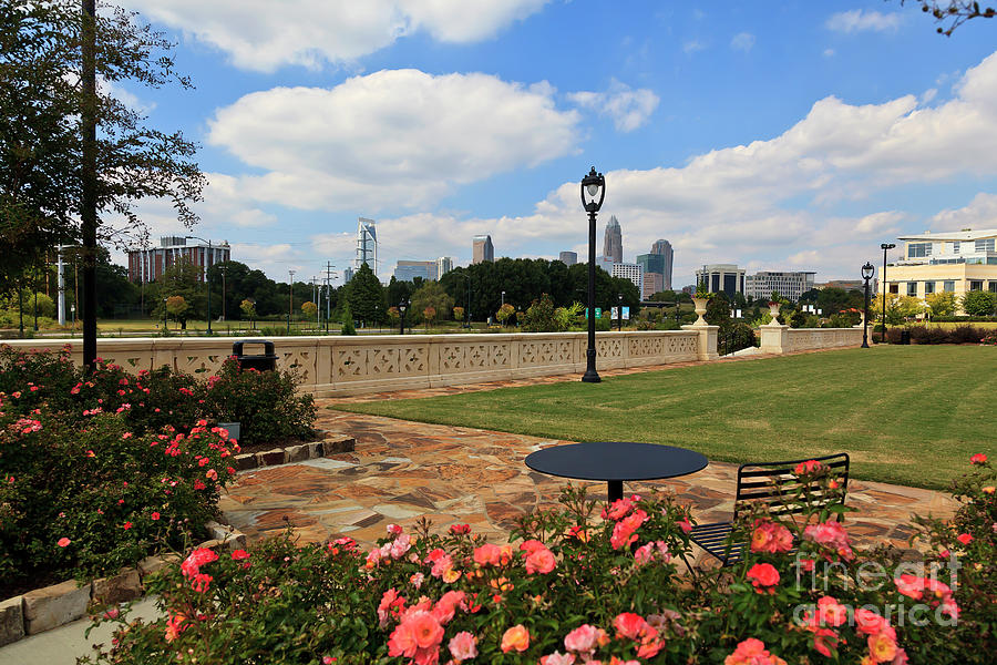 Charlotte Midtown Park in Summer Photograph by Jill Lang