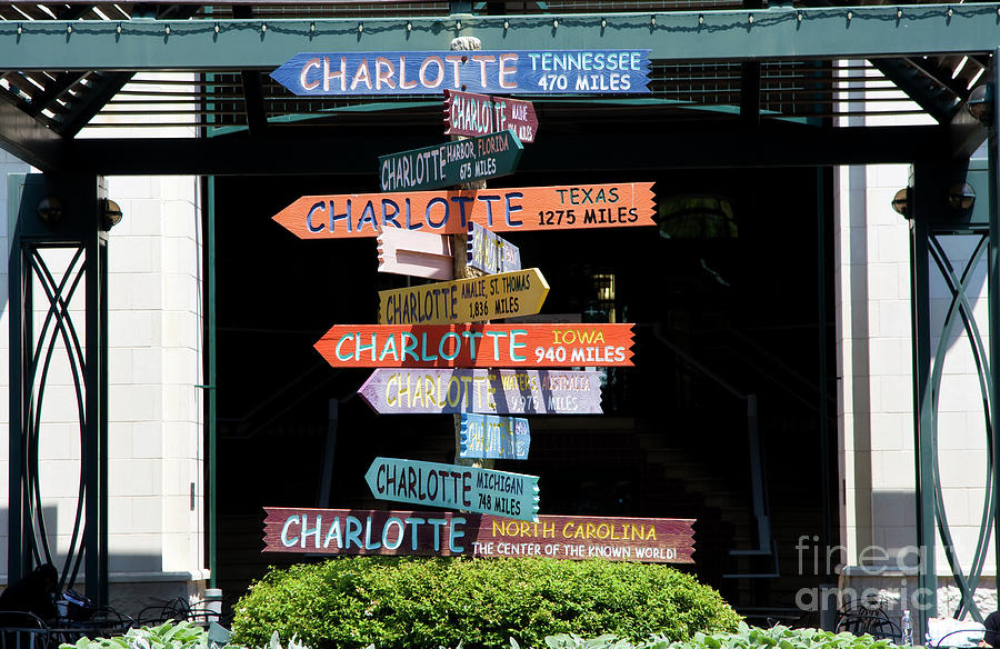 Charlotte Signs Photograph by Jill Lang