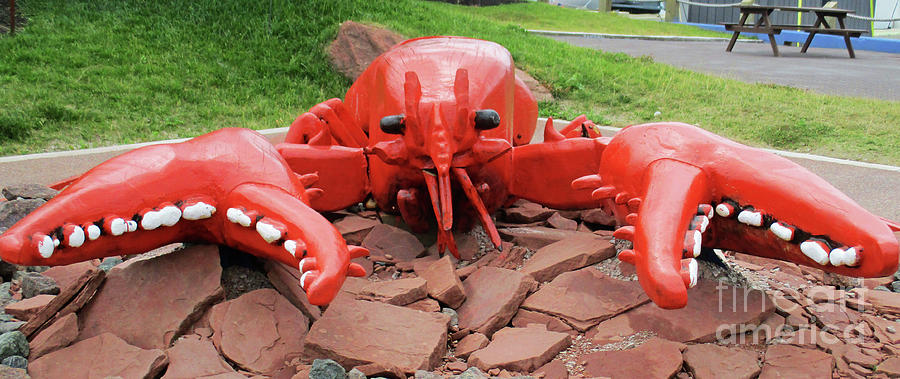 Charlottetown Lobster Photograph by Randall Weidner