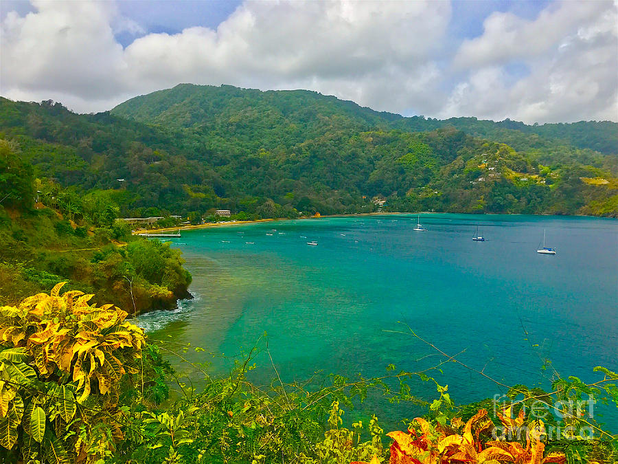Charlotteville View  Photograph by Carey Chen