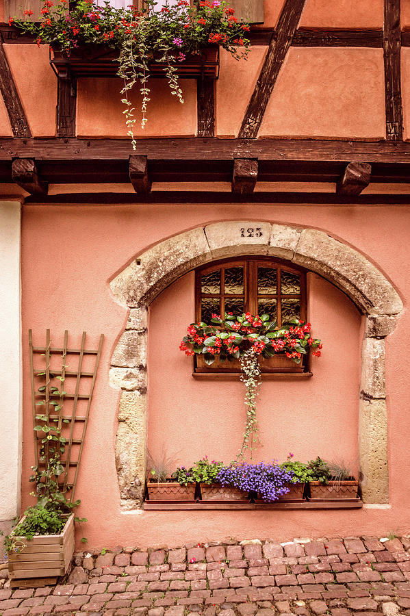 Charming Alsace Photograph by Rebekah Zivicki