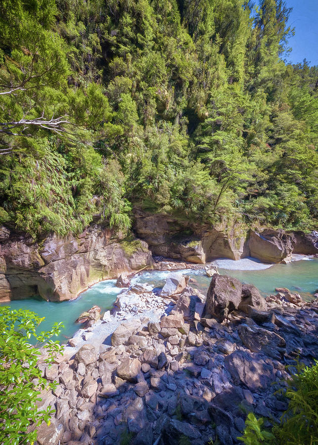 Charming Creek Walkway New Zealand Photograph