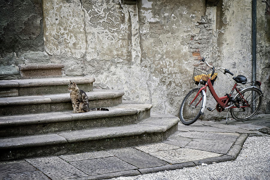 Charming Italian Scene Photograph by Catherine Reading
