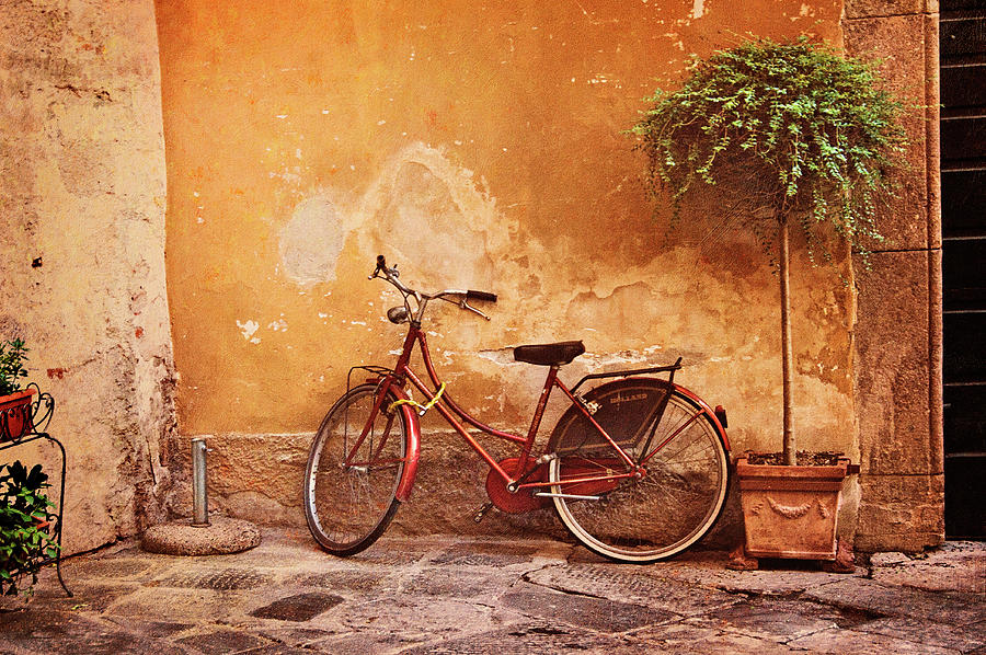 Charming Lucca Photograph by Jill Love