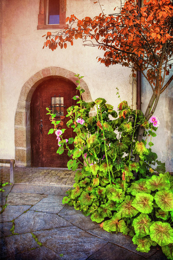 Charming Old Door in Basel  Photograph by Carol Japp