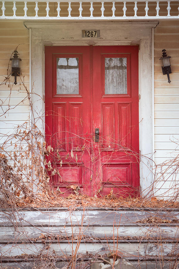 Charming Old Red Doors Portrait Photograph by Gary Heller