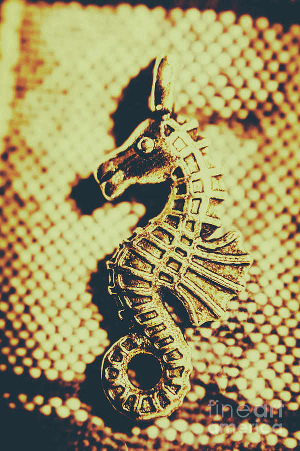 Seahorse Photograph - Charming vintage seahorse by Jorgo Photography