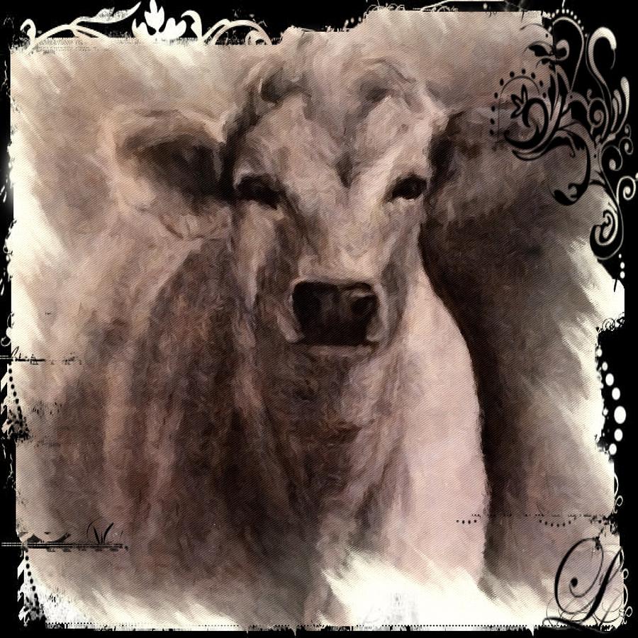 Charolais Cow Graphite Drawing Digital Art