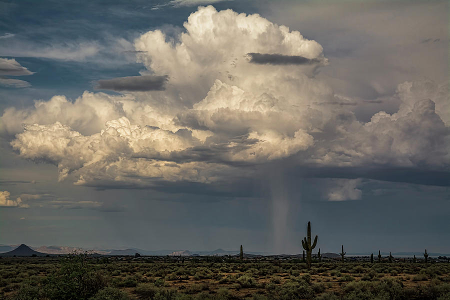 Chasing The Desert Rain  Photograph by Saija Lehtonen