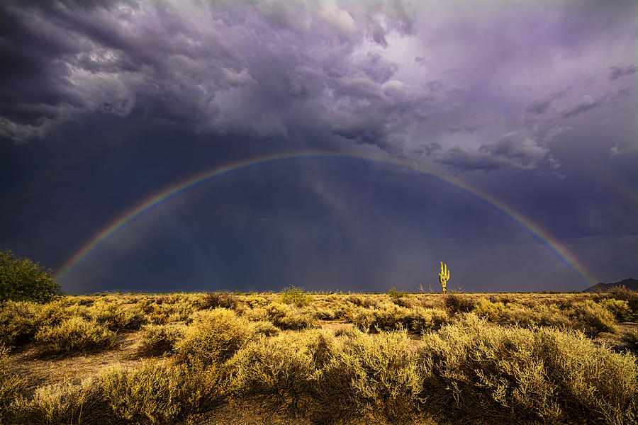 Chasing The Desert Rainbow  Photograph by Saija Lehtonen