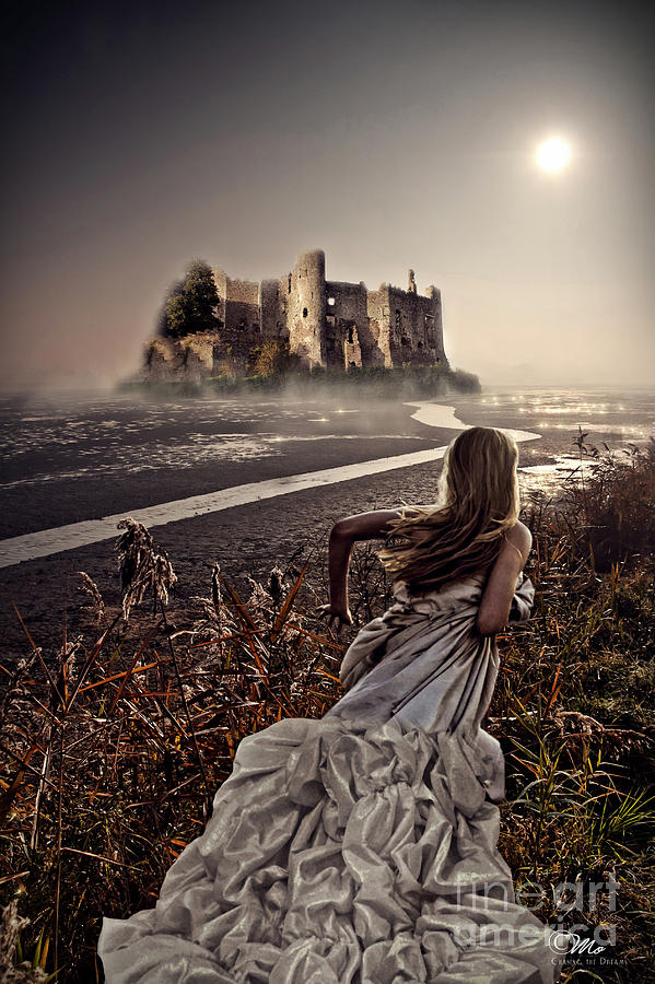 Castle Photograph - Chasing the Dreams by Mo T