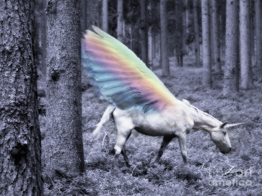 Chasing the Unicorn by EMANUELA CARRATONI Chasing the Unicorn by EMANUELA CARRATONI