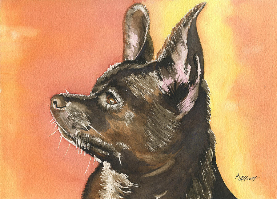Dog Painting - Chaska by Marsha Elliott
