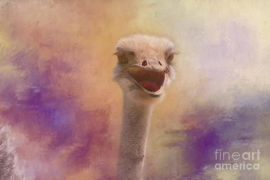 Ostrich Digital Art - Chat With An Ostrich by Sharon McConnell