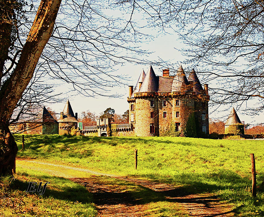 Chateau de Landale Photograph by Elf EVANS