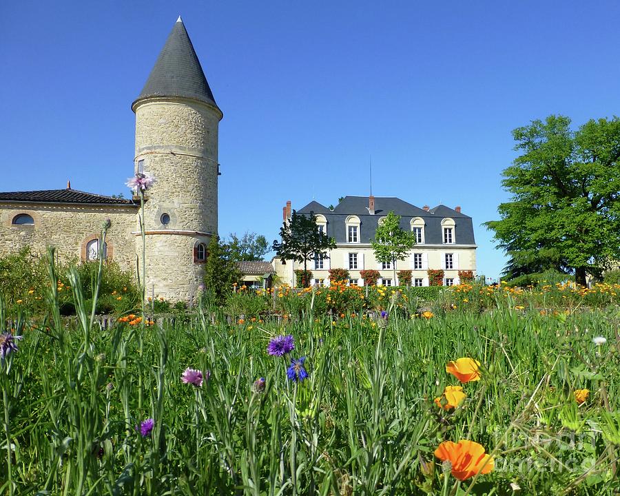 Chateau Guiraud in Spring Photograph by Barbie Corbett-Newmin