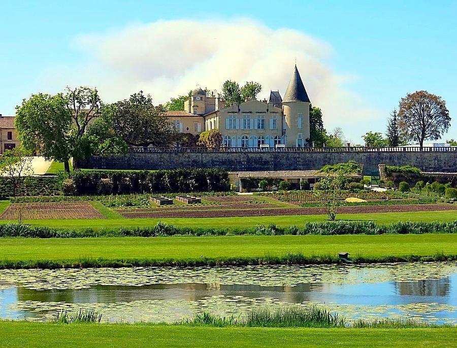 Chateau Lafite Rothschild Photograph by Betty Buller Whitehead