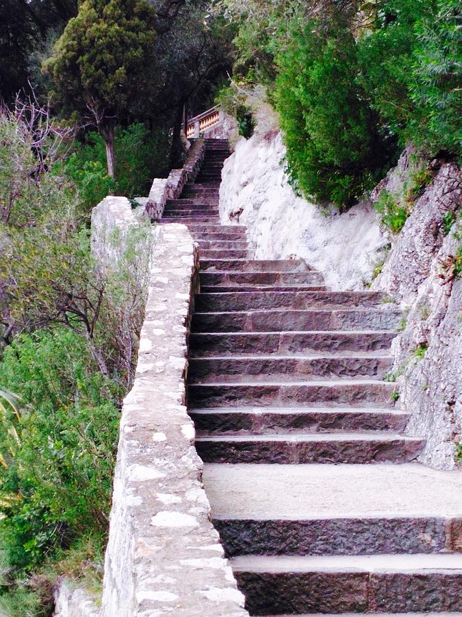 Nature Photograph - Chateau Stairs by Tiffany Marchbanks