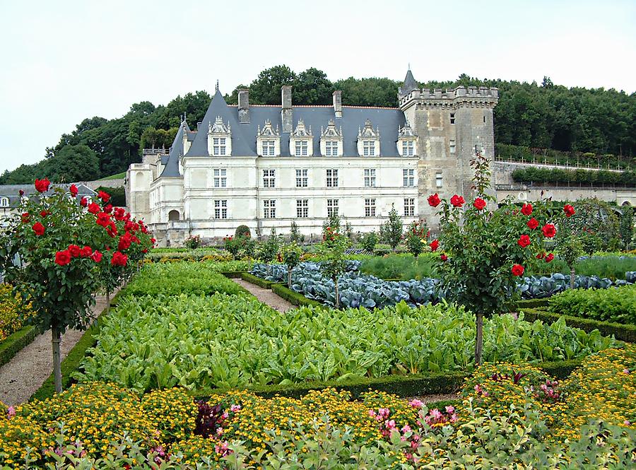 Chateau Villandry Vegetable and Flower Gardens Photograph by Joseph Hendrix
