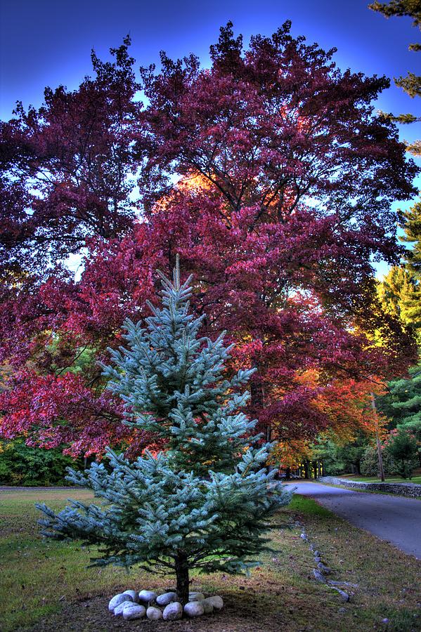 Chatfield Hallow Photograph by Sam Turgeon Chatfield Hallow Photograph by Sam Turgeon
