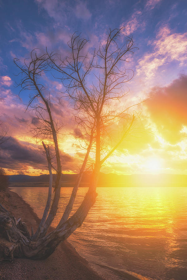 Chatfield Lake Sunset Photograph