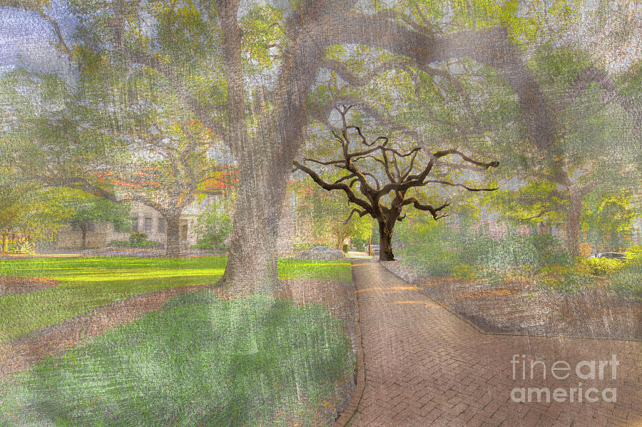 Tree Digital Art - Chatham Square  by Larry Braun