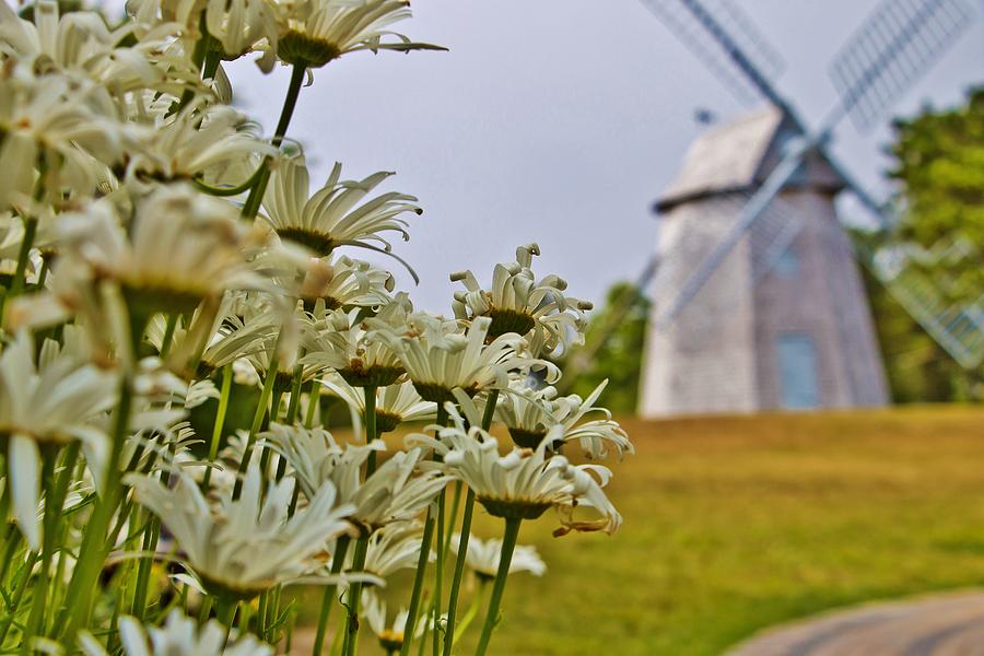 Chatham Windmill Photograph by Marisa Geraghty Photography