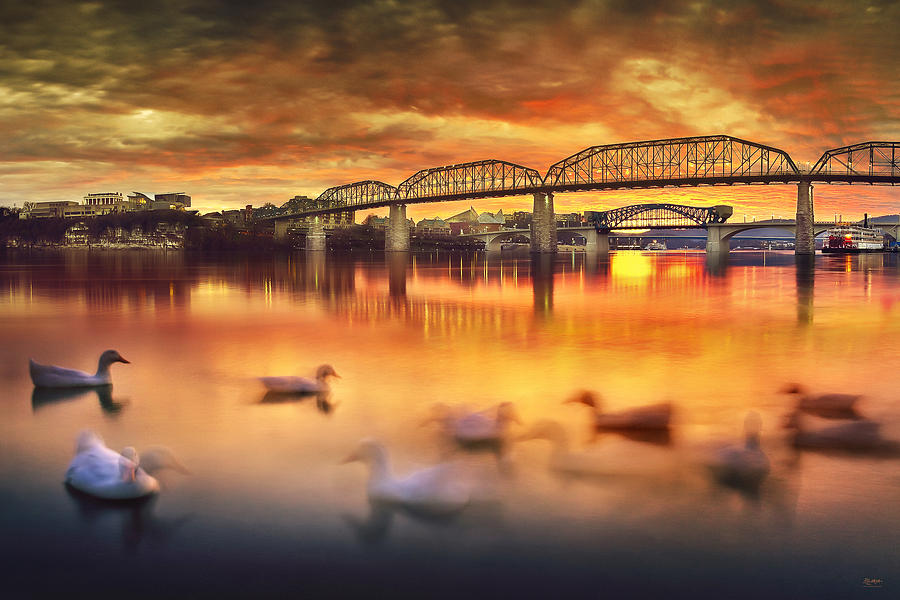 Chattanooga Sunset with Ducks Photograph by Steven Llorca