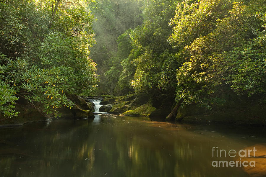 Jungle Photograph - Chattooga River at Dawn by Matt Tilghman