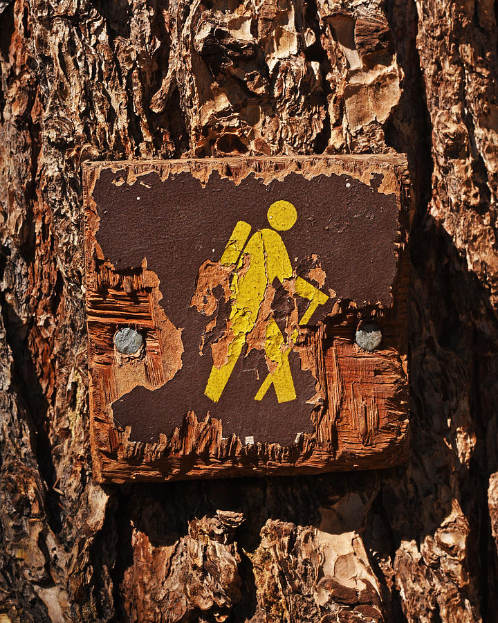 Chautauqua Hiking Trail hiking sign Photograph by Toby McGuire