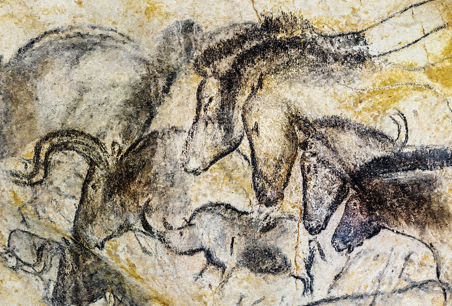 Prehistoric Photograph - Chauvet Horses Aurochs and Rhinoceros by Weston Westmoreland
