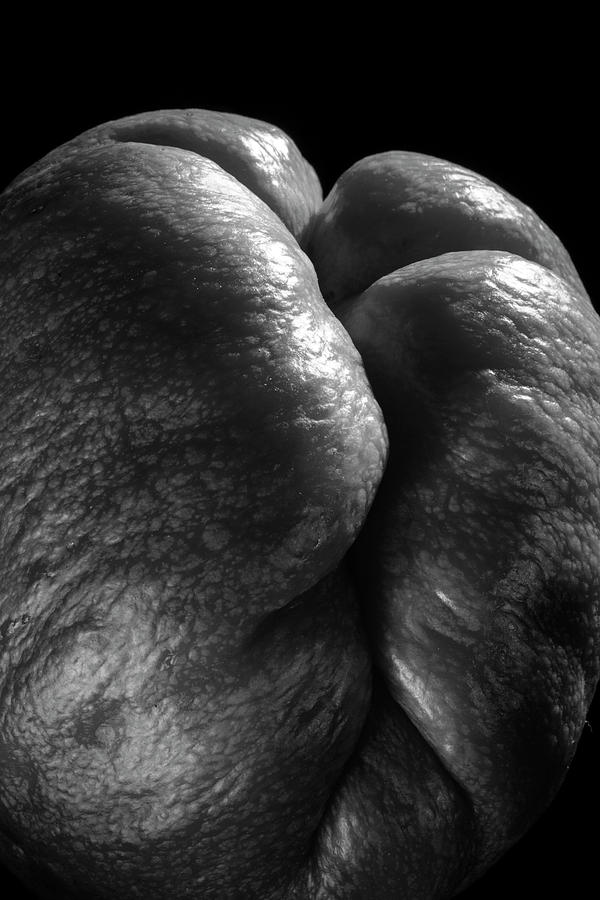 Chayote Squash by Frederic A Reinecke Chayote Squash by Frederic A Reinecke