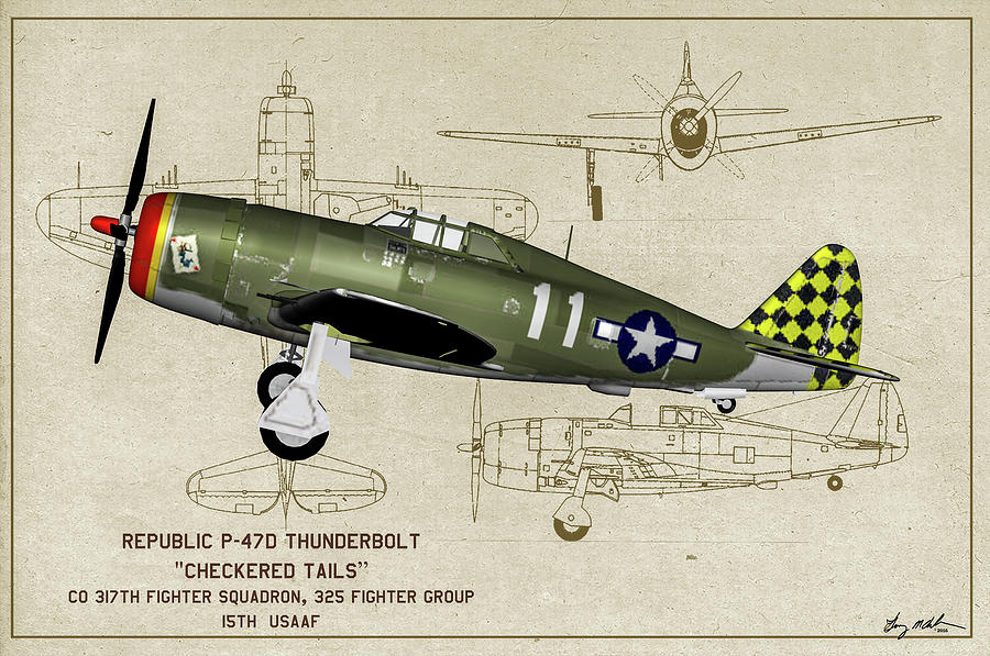 Checker Tails P-47 - Profile Art Digital Art by Tommy Anderson