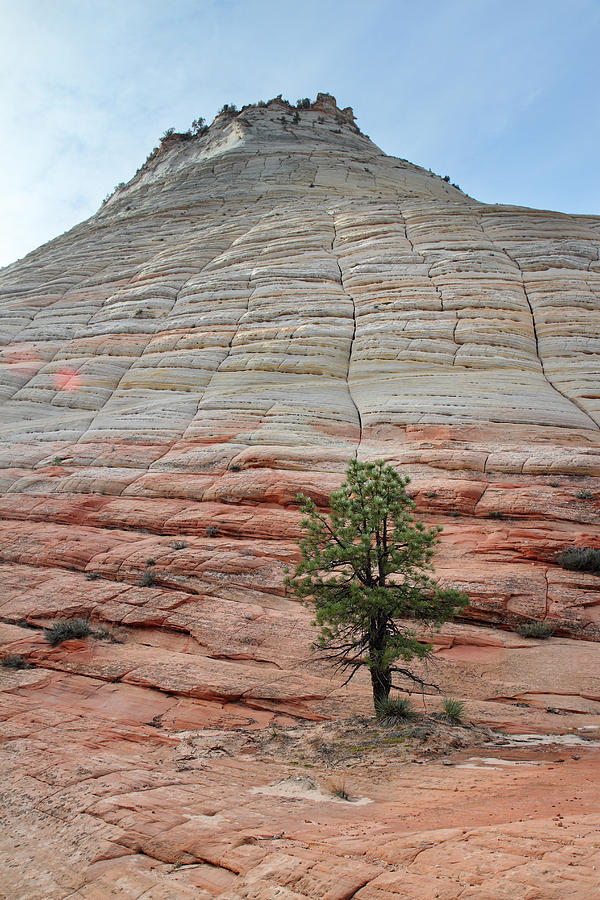 Checkerboard Mesa in Zion Photograph by Pierre Leclerc Photography