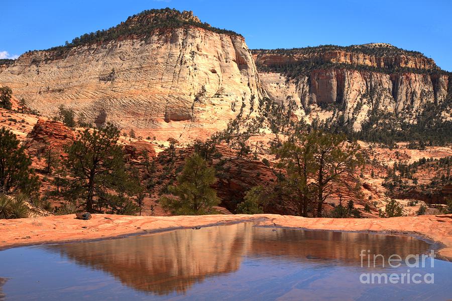 Checkerboard Mesa Zion National Park Photograph by Adam Jewell
