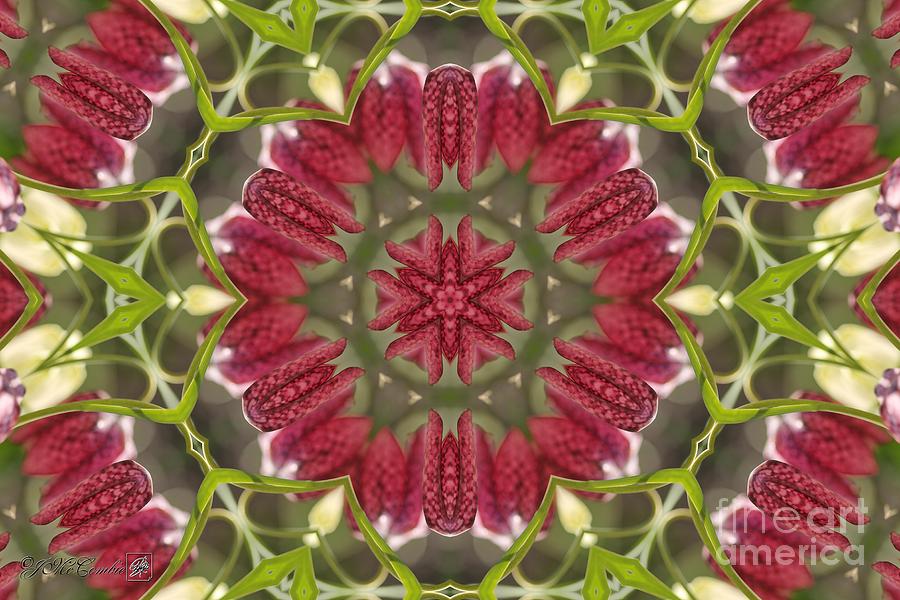 Checkered Lilies Mandala Digital Art by J McCombie