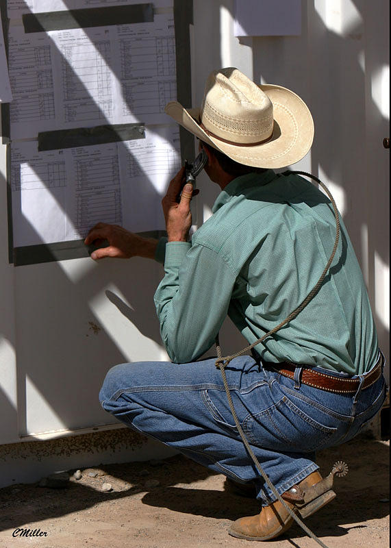 Horse Photograph - Checkin the Draw.. by Carol Miller