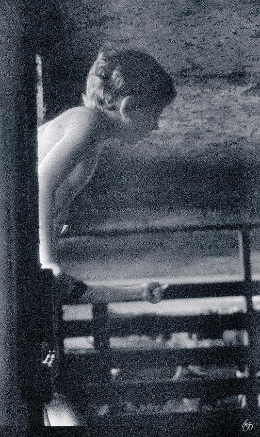 Peering into the Barn Photograph by Wayne King