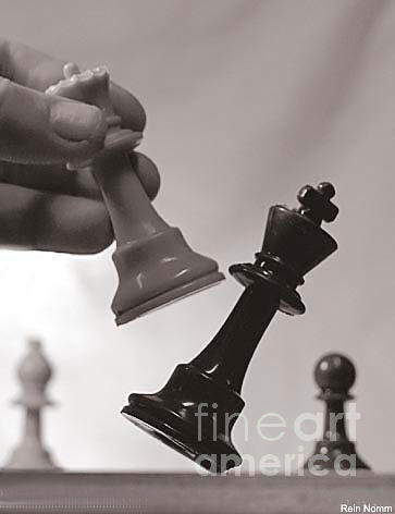 Checkmate Photograph by Rein Nomm