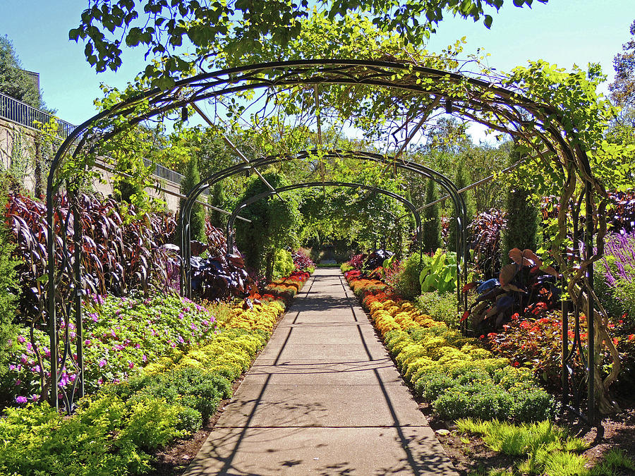 Cheekwood Gardens Arched Pathway Photograph by Marian Bell