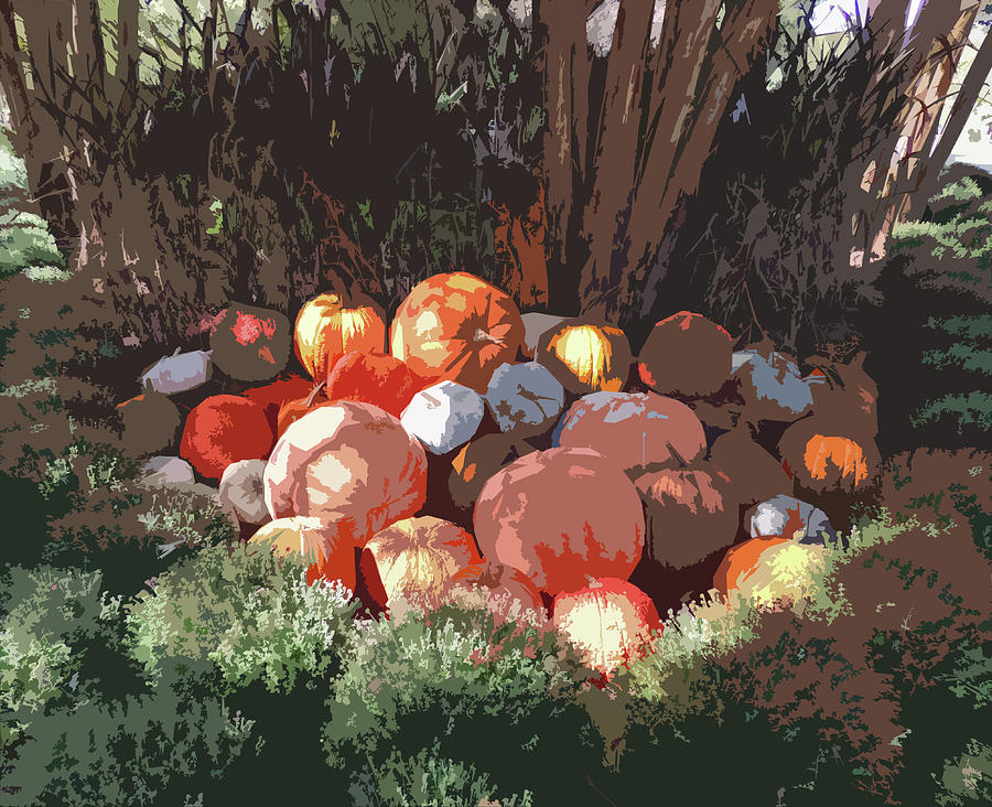 Nashville Digital Art - Cheekwood Gardens Pumpkin Patch Cutout by Marian Bell