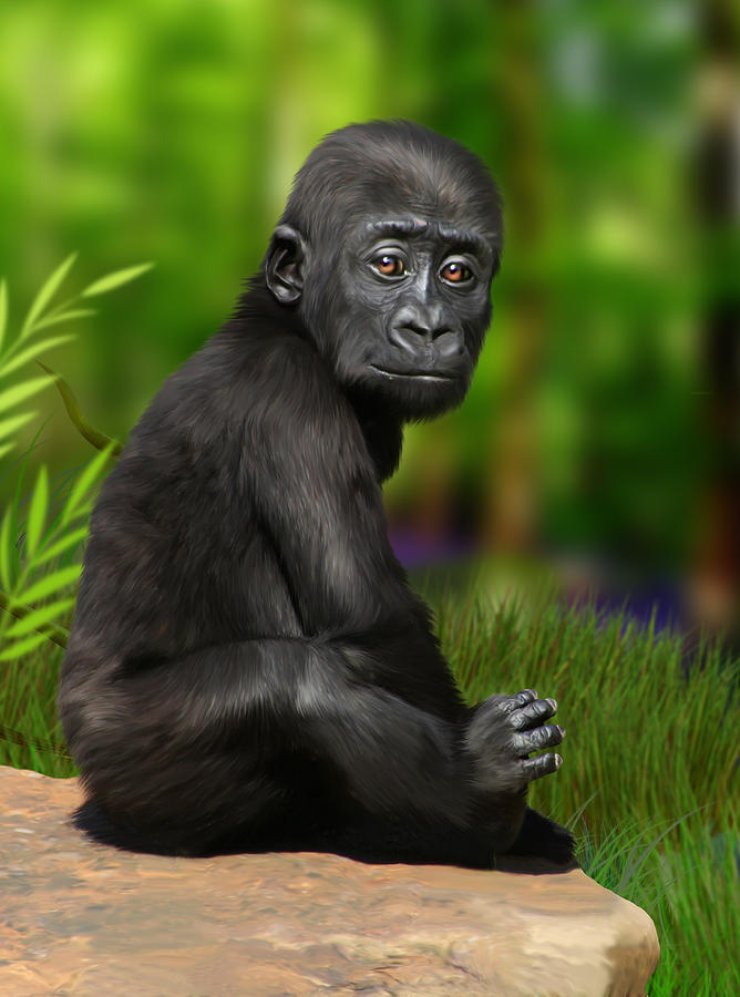 Gorilla Digital Art - Cheeky Boy by Julie L Hoddinott