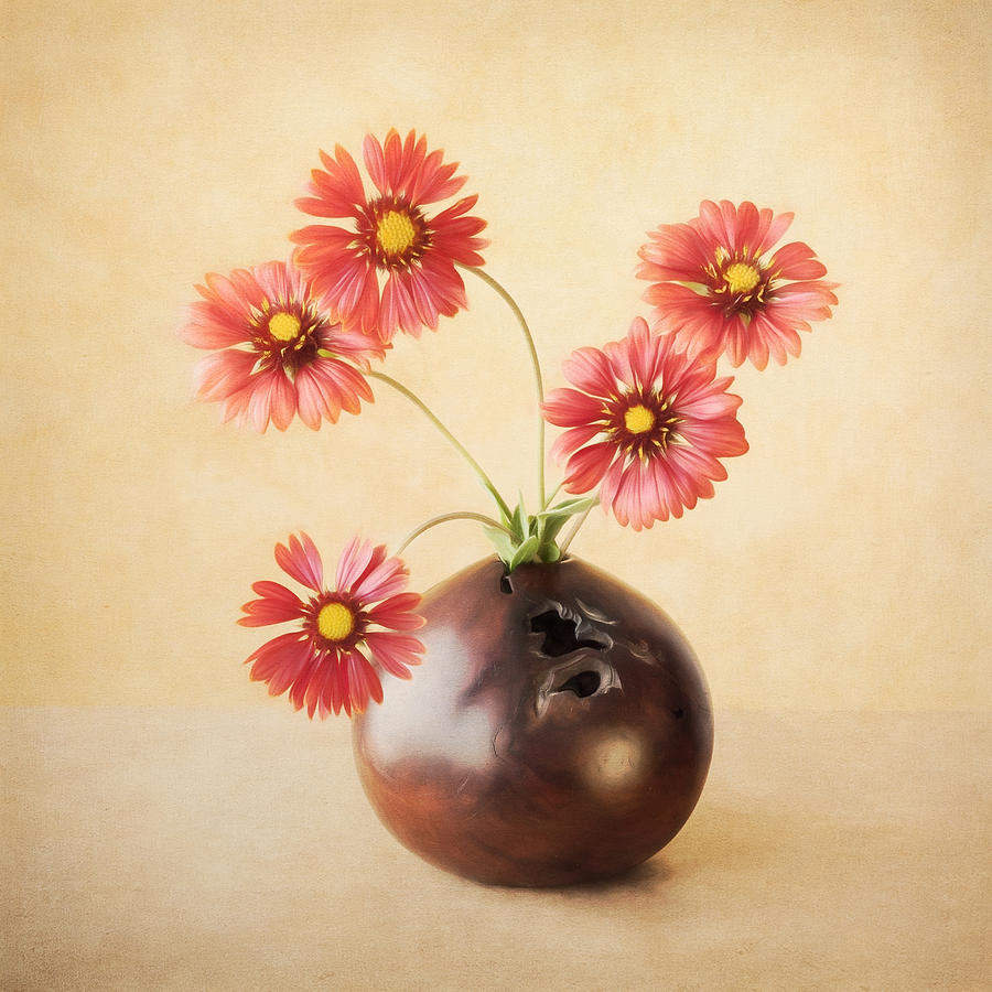 Still Life Photograph - Cheerful Daisies by Colleen Farrell