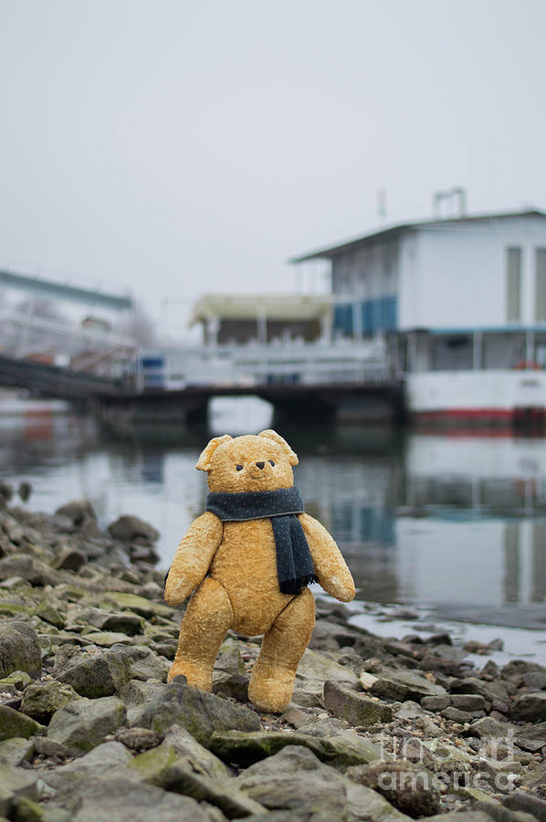 Christmas Photograph - Cheerful teddy bear in knitted scarf stand by the riverside beside the port by Andrea Varga