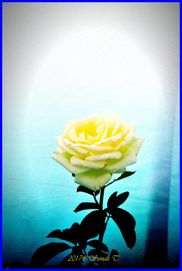 Cheerful Yellow Rose Digital Art by Sonali Gangane